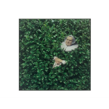 Kolaż analogowy „Zielono mi i spokojnie” - wydruk