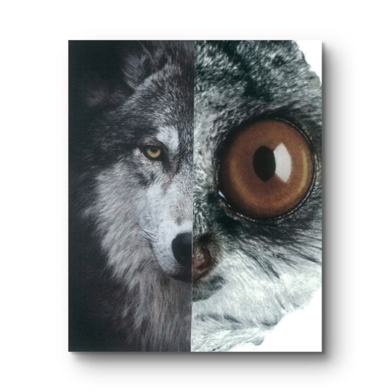 Kolaż analogowy „Widzę cię” - wydruk