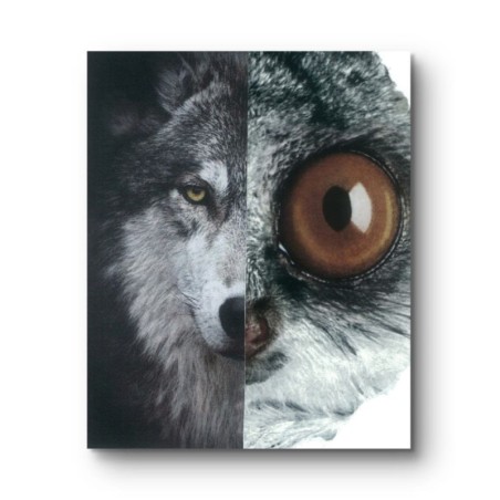 Kolaż analogowy „Widzę cię” - wydruk