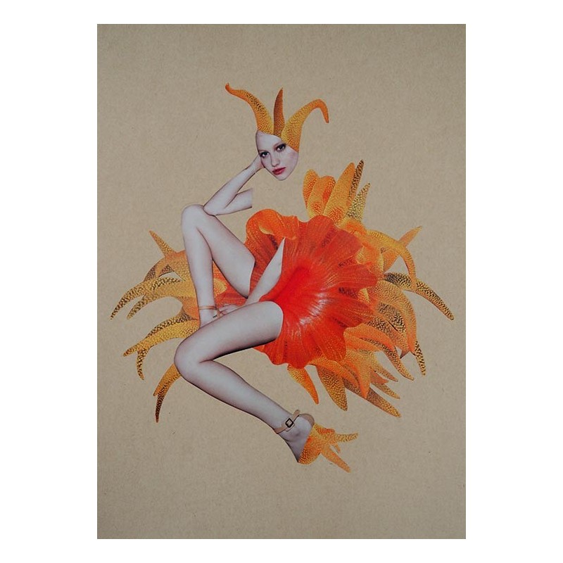 Kolaż analogowy „Parzydełkowa"