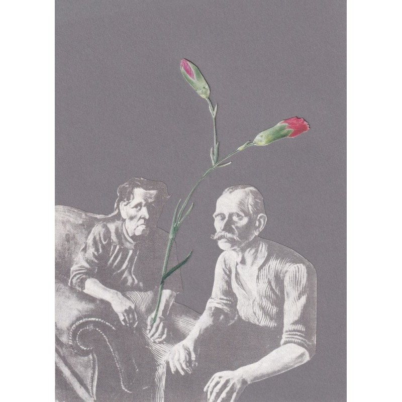 Kolaz Analogowy Dwa gozdziki