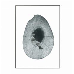 Kolaż analogowy „Dziupla” - wydruk